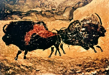 Pittura Rupestre di Bisonte, c.17000 a.C.